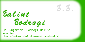 balint bodrogi business card